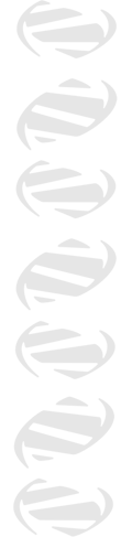 double-helix icon